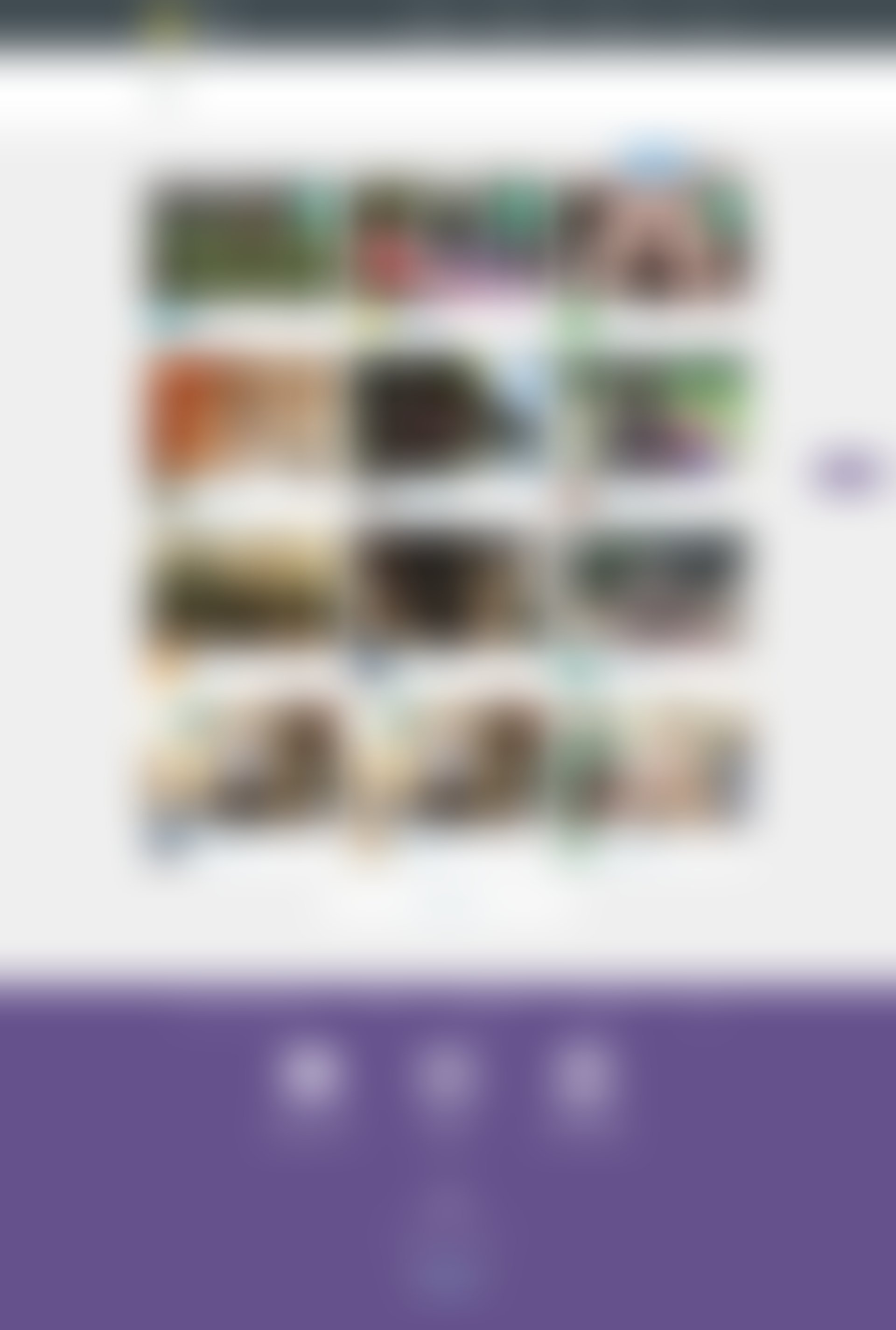 DIY
				search page example