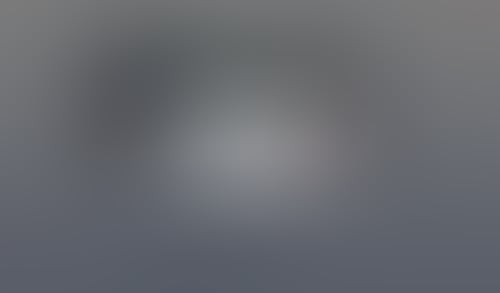 Macaw
			        ux ui design