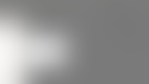 QuestionScout
			              ux ui design