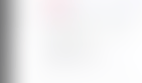 Lingo
			     ux ui design