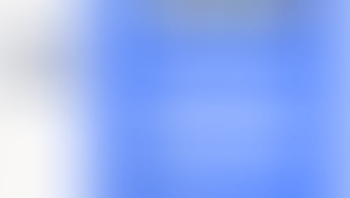 QuestionScout
			     ux ui design