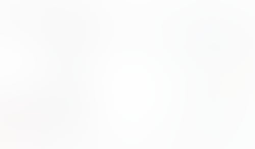 Macaw
			               ux ui design