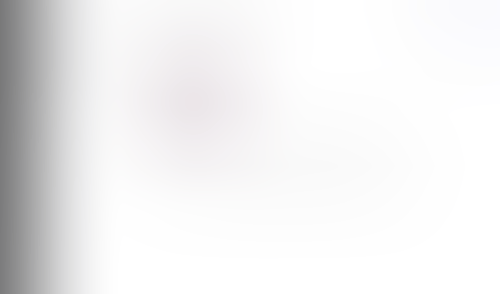 Lingo
			      ux ui design