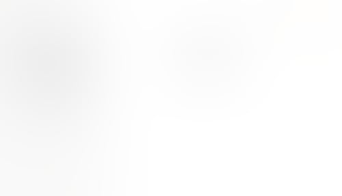 Fingerprint
			           ux ui design