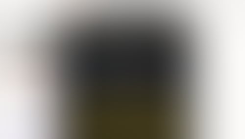 QuestionScout
			   ux ui design