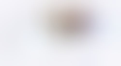 Rise
			    ux ui design