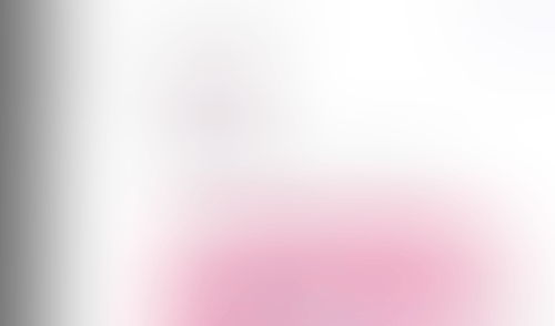 Lingo
			     ux ui design