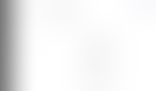 Lingo
			     ux ui design