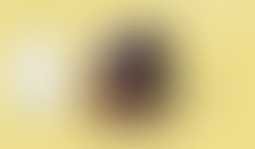 WeTransfer
			        ux ui design