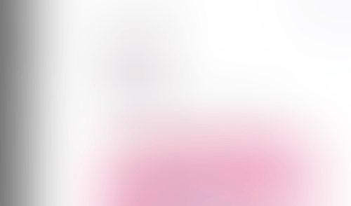 Lingo
			      ux ui design