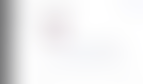 Lingo
			         ux ui design