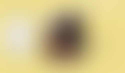 WeTransfer
			       ux ui design