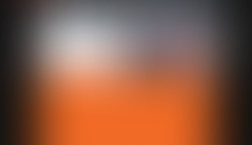 Standards
			     ux ui design