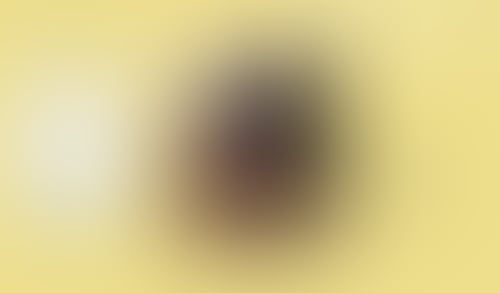 WeTransfer
			        ux ui design