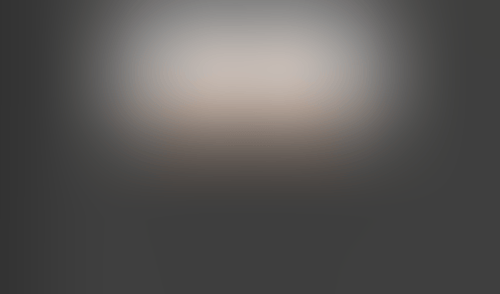 Lingo
			    ux ui design