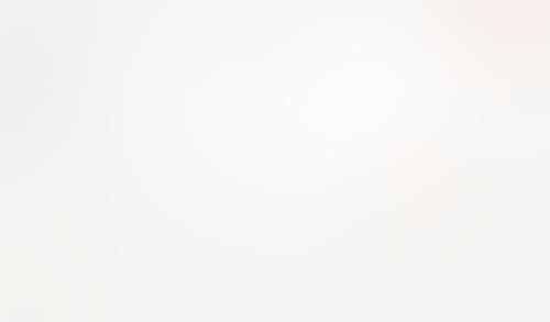 Monarch
			         ux ui design