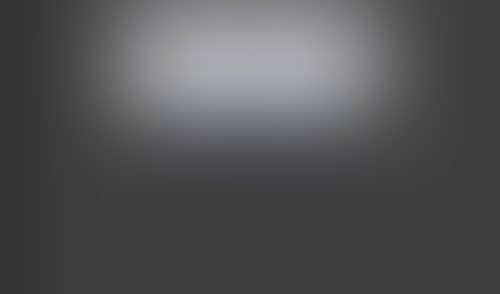 Lingo
			     ux ui design