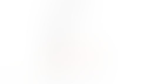 Fingerprint
			  ux ui design