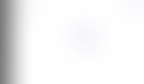 Lingo
			       ux ui design