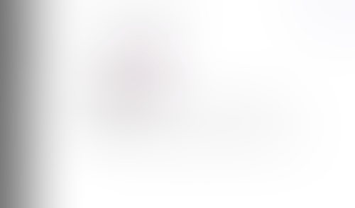 Lingo
			     ux ui design