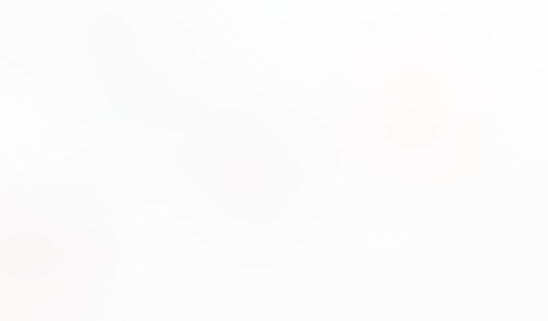 Macaw
			         ux ui design