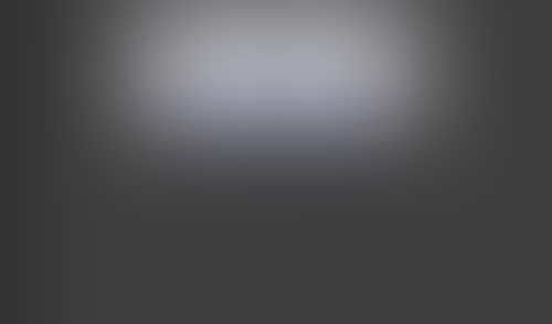 Lingo
			    ux ui design