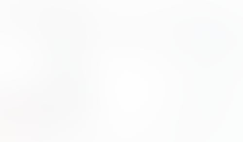 Macaw
			              ux ui design