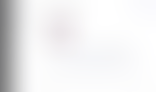 Lingo
			        ux ui design