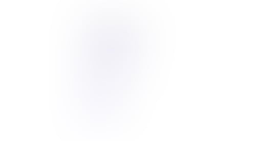 Rise
			    ux ui design