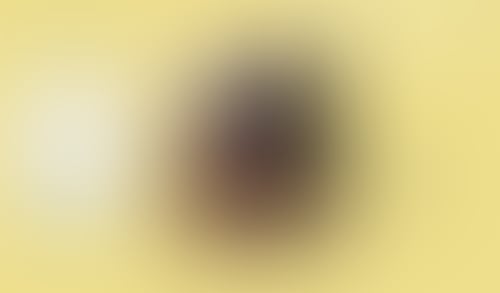 WeTransfer
			    ux ui design