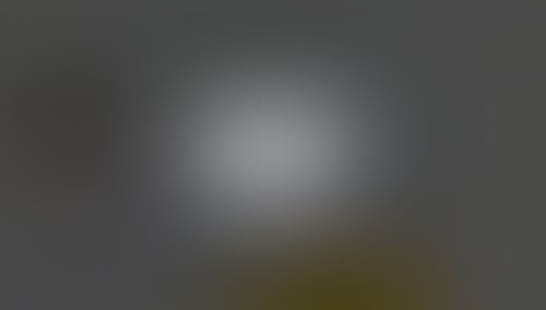 QuestionScout
			    ux ui design