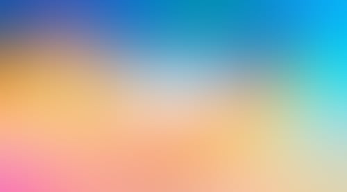 Raster
			    ux ui design