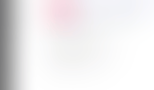 Lingo
			  ux ui design