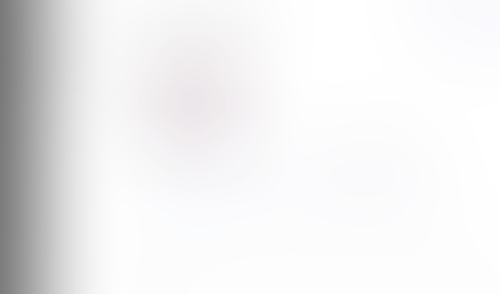 Lingo
			     ux ui design