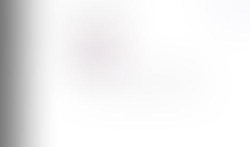 Lingo
			       ux ui design