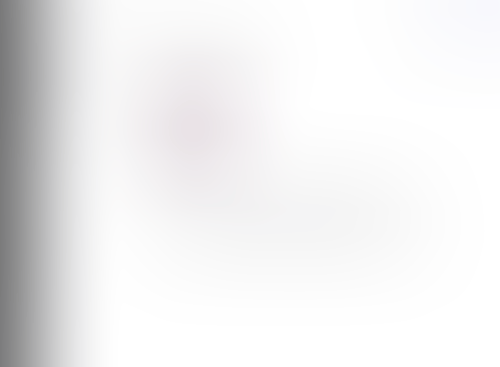 Lingo
			   ux ui design