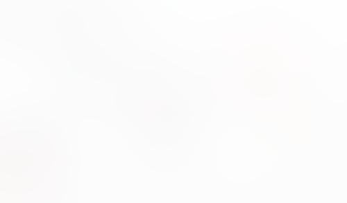 Macaw
			        ux ui design