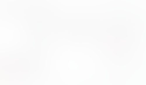 Macaw
			              ux ui design