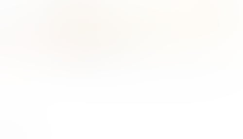 Fingerprint
			      ux ui design