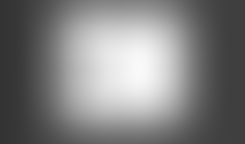 Lingo
			         ux ui design