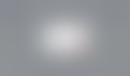 Bitly
			         ux ui design