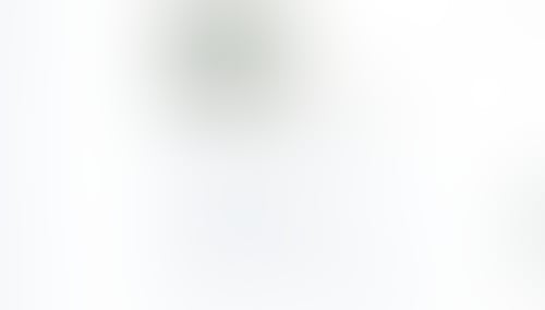 Gemini
			    ux ui design