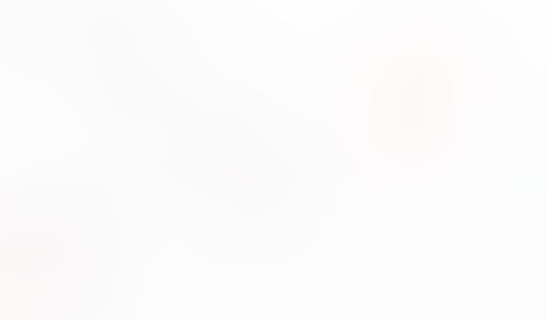 Macaw
			         ux ui design