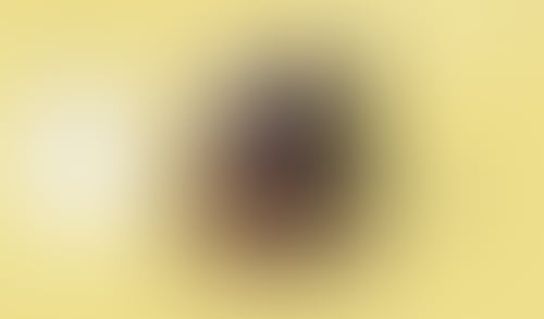 WeTransfer
			       ux ui design