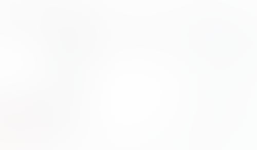 Macaw
			          ux ui design
