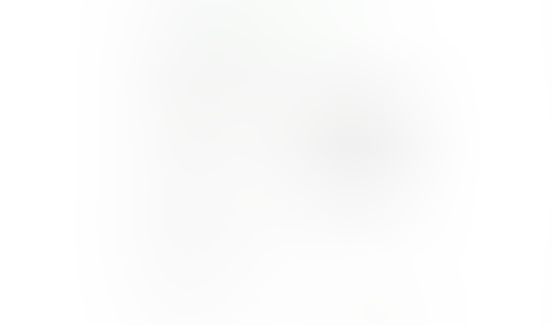 Kinsta screen example