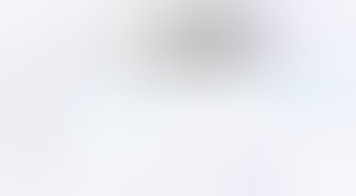 Rise
			     ux ui design