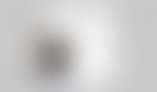 Campsite
			             ux ui design