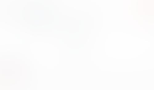 Macaw
			         ux ui design