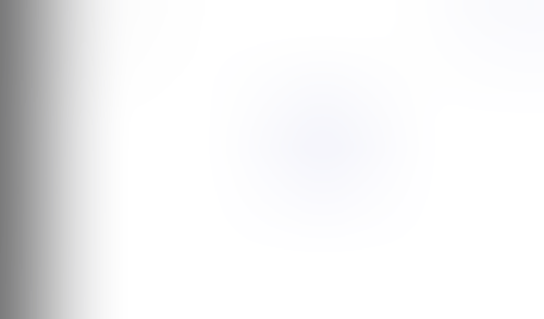 Lingo
			     ux ui design
